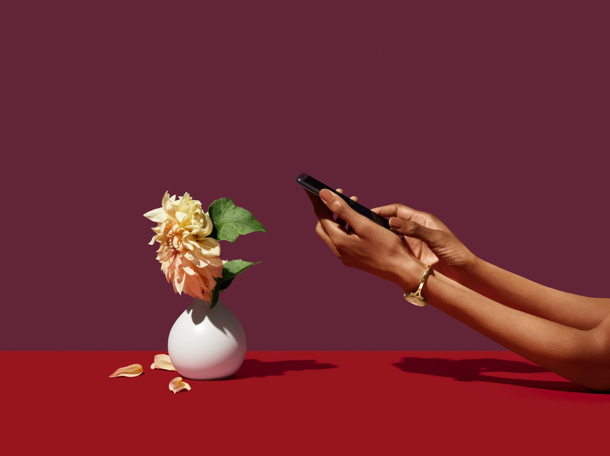 Portfolio showcase 3